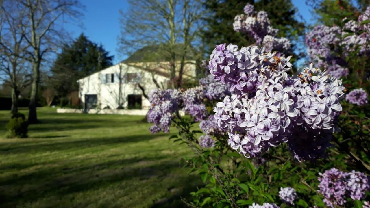 La Maison Du Champ De Beaumont Galgon Exteriér fotografie